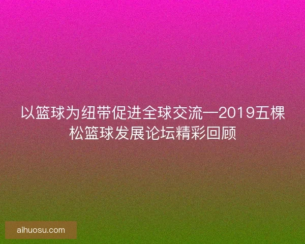 以篮球为纽带促进全球交流—2019五棵松篮球发展论坛精彩回顾